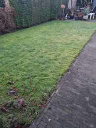 Vervangen natuurlijk gras voor kunstgras